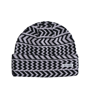 Autumn Chevron Beanie Whisper Pink