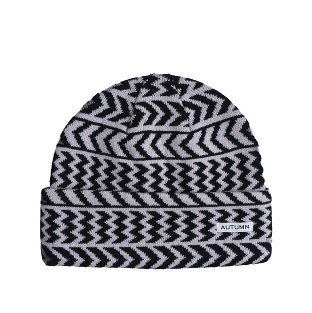 Autumn Chevron Beanie Whisper Pink