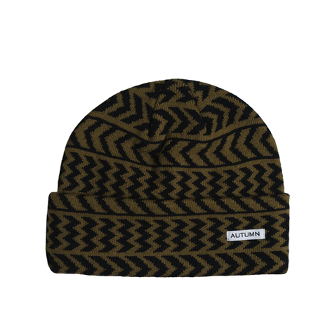Autumn Chevron Beanie Fir