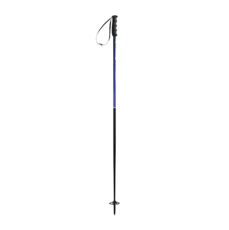 Nordica All Mountain Ski Poles Purple 125