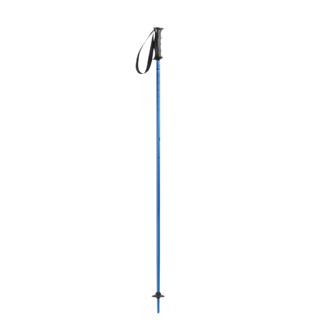 Nordica Junior Ski Poles Blue 95