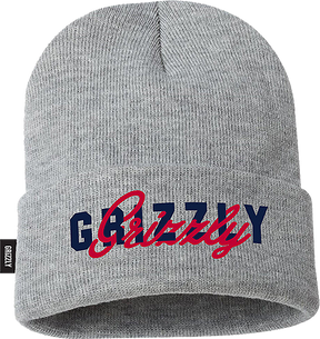 GRIZZLY NO SUBSTITUTE BEANIE GREY