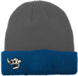 TOY MACHINE DEAD MONSTER BEANIE GREY