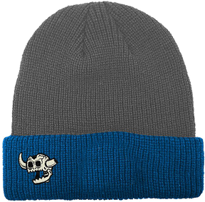 TOY MACHINE DEAD MONSTER BEANIE GREY