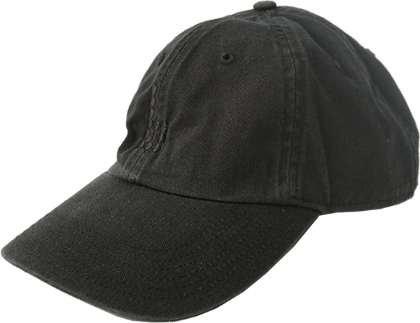 BRAILLE DAD SKATE HAT ADJ-BLACK