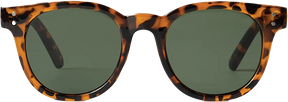 CHPO TORO SUNGLASSES TURTLE BROWN