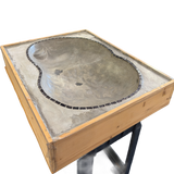 RADIO FINGERBOARD BOWL Grey 2x3