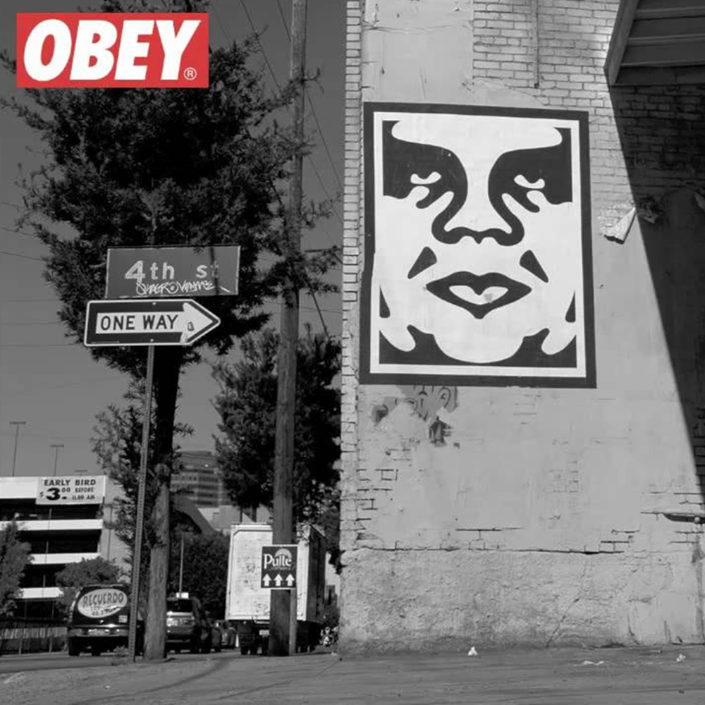 Obey Bold Icon Face Tshirt RainForest