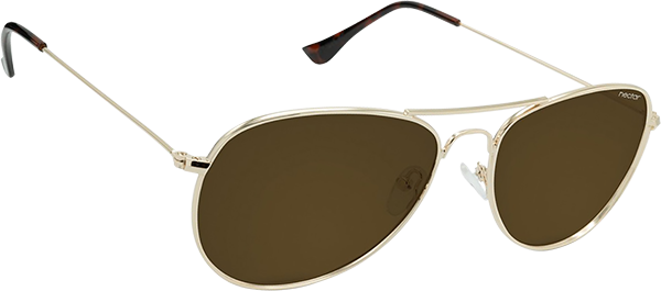 NECTAR SUNGLASSES KITTY HAWK GOLD METAL/AMBER